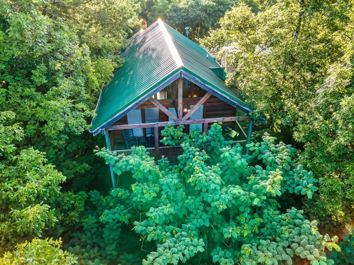 Cozy Log Cabin!! In Heart Of Pf & Close To The Smokies Pigeon Forge Eksteriør bilde